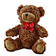Adorable Plush Bear – MARIA'S FLORAL CREATIONS, Bethel CT