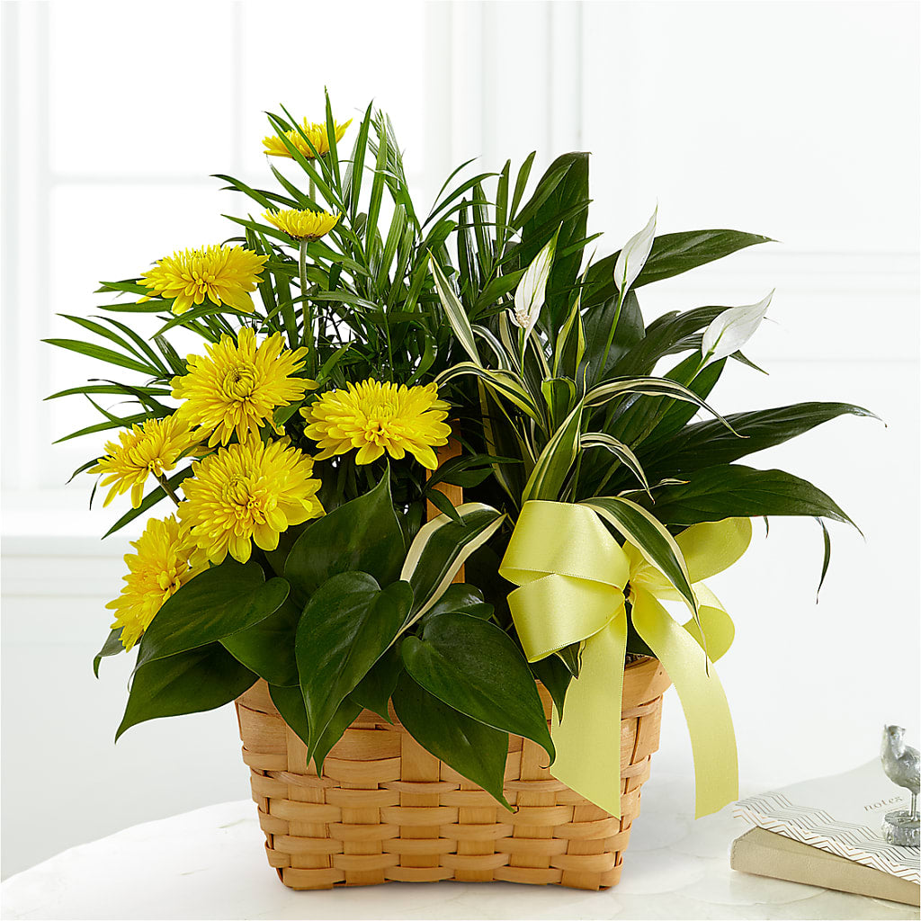 Loving Light Dishgarden – MARIA'S FLORAL CREATIONS, Bethel CT