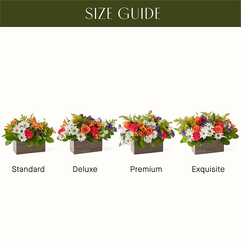 Oopsie Daisy Box Bouquet – MARIA'S FLORAL CREATIONS, Bethel CT