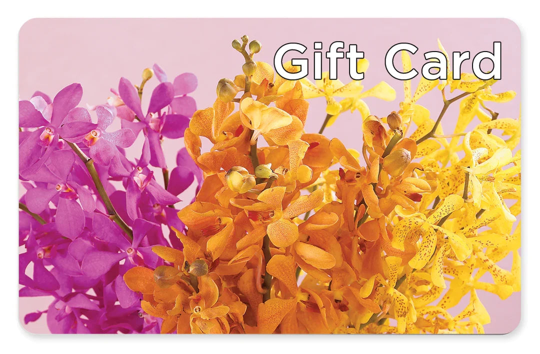 Gift Card – MARIA'S FLORAL CREATIONS, Bethel CT