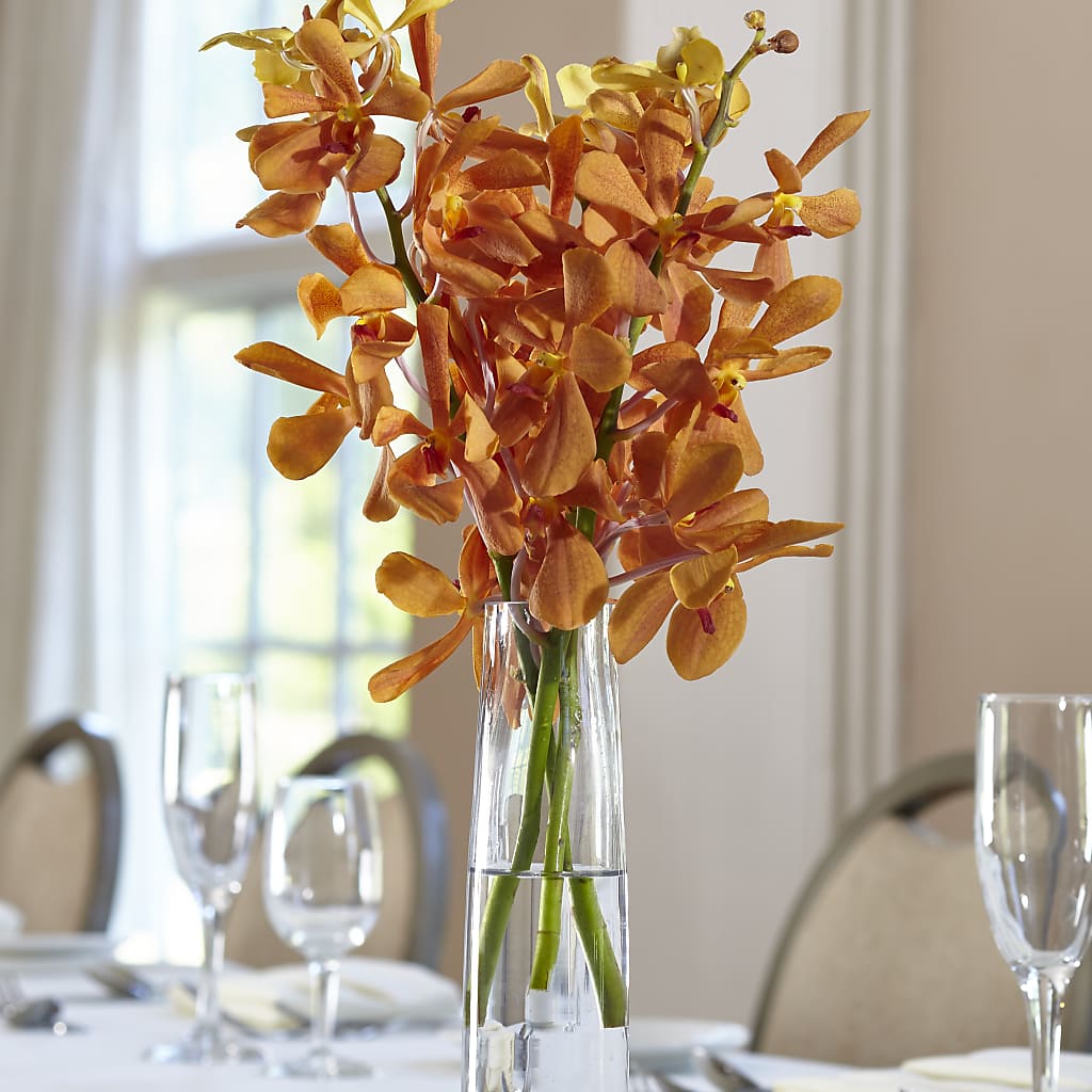 Orange Mokara Bud Vase – MARIA'S FLORAL CREATIONS, Bethel CT