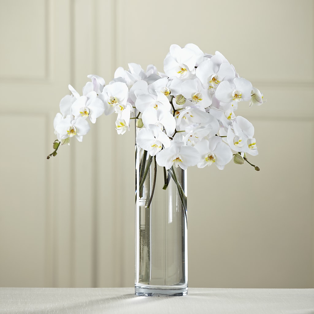 White Phalaenopsis Bouquet – MARIA'S FLORAL CREATIONS, Bethel CT