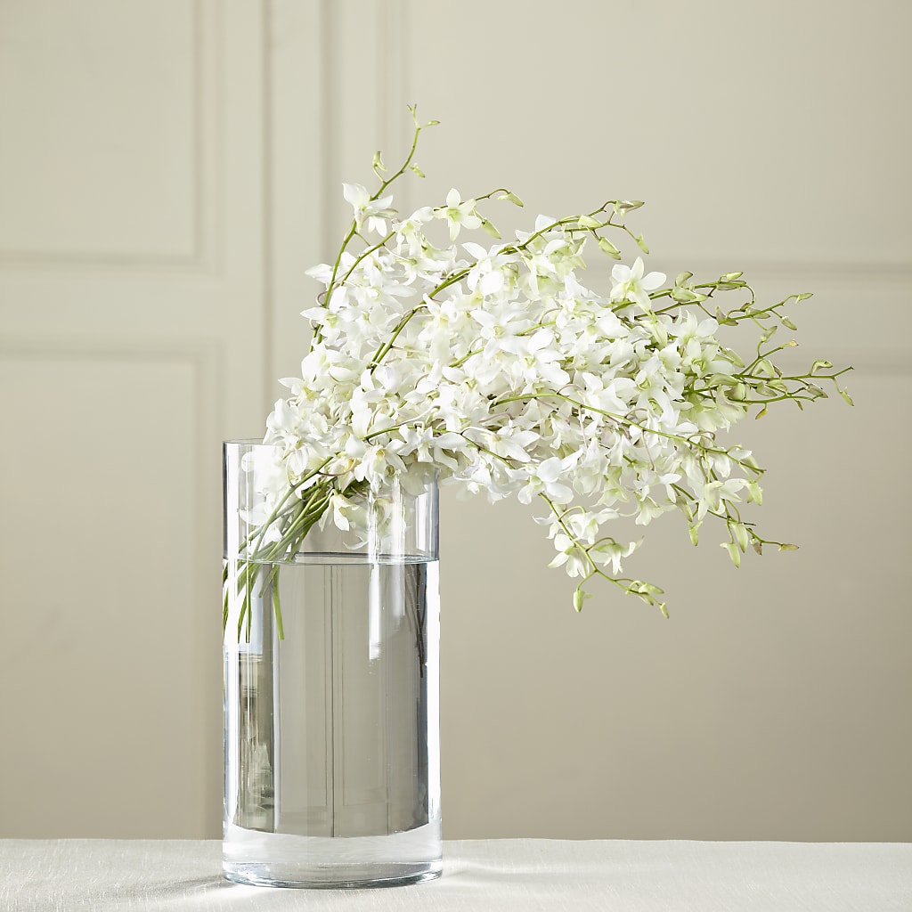 White Dendrobium Bouquet – MARIA'S FLORAL CREATIONS, Bethel CT