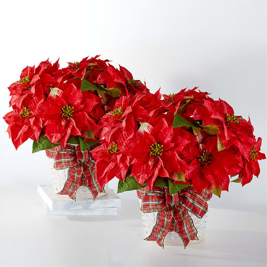 Happiest Holidays Poinsettia Bundle – MARIA'S FLORAL CREATIONS, Bethel CT