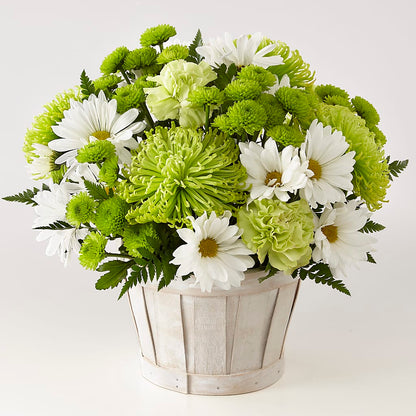 Lucky Charm Basket (Standard) – MARIA'S FLORAL CREATIONS, Bethel CT