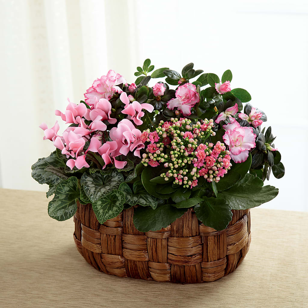 Pink Assortment – MARIA'S FLORAL CREATIONS, Bethel CT