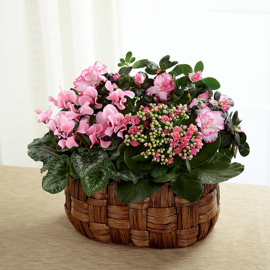 Pink Assortment – MARIA'S FLORAL CREATIONS, Bethel CT