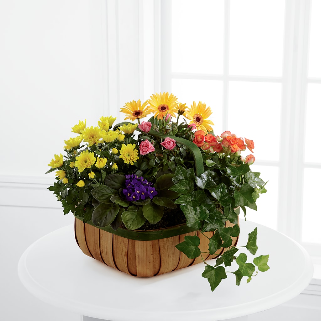 Gentle Blossoms Basket – MARIA'S FLORAL CREATIONS, Bethel CT