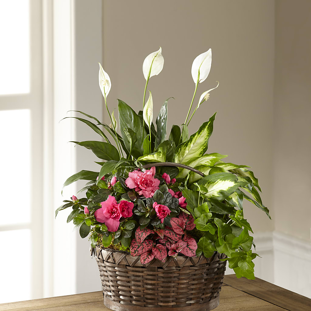 Dream in Pink Dishgarden – MARIA'S FLORAL CREATIONS, Bethel CT