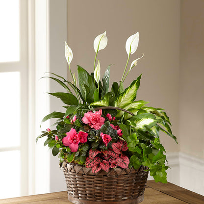 Dream in Pink Dishgarden – MARIA'S FLORAL CREATIONS, Bethel CT