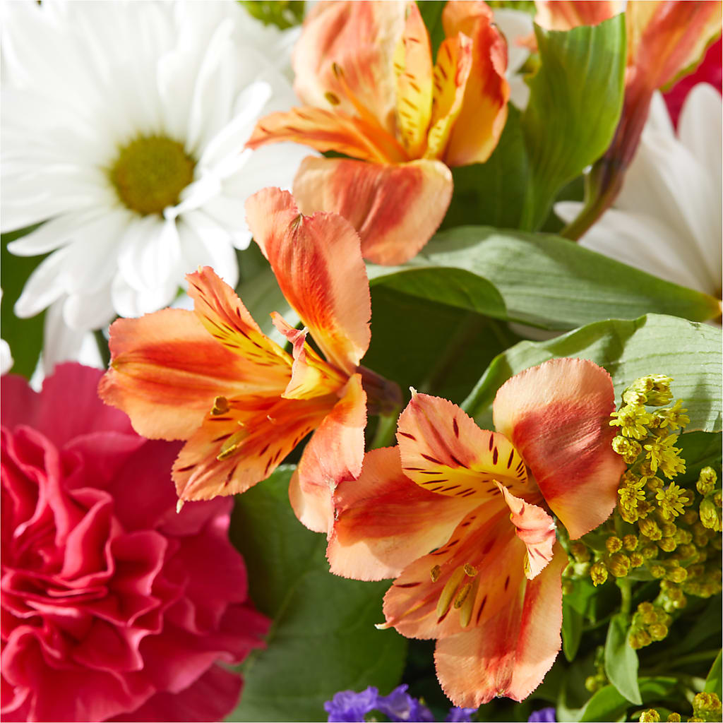 Oopsie Daisy Box Bouquet – MARIA'S FLORAL CREATIONS, Bethel CT