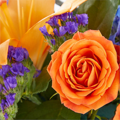 Radiant Citrus Box Bouquet – MARIA'S FLORAL CREATIONS, Bethel CT