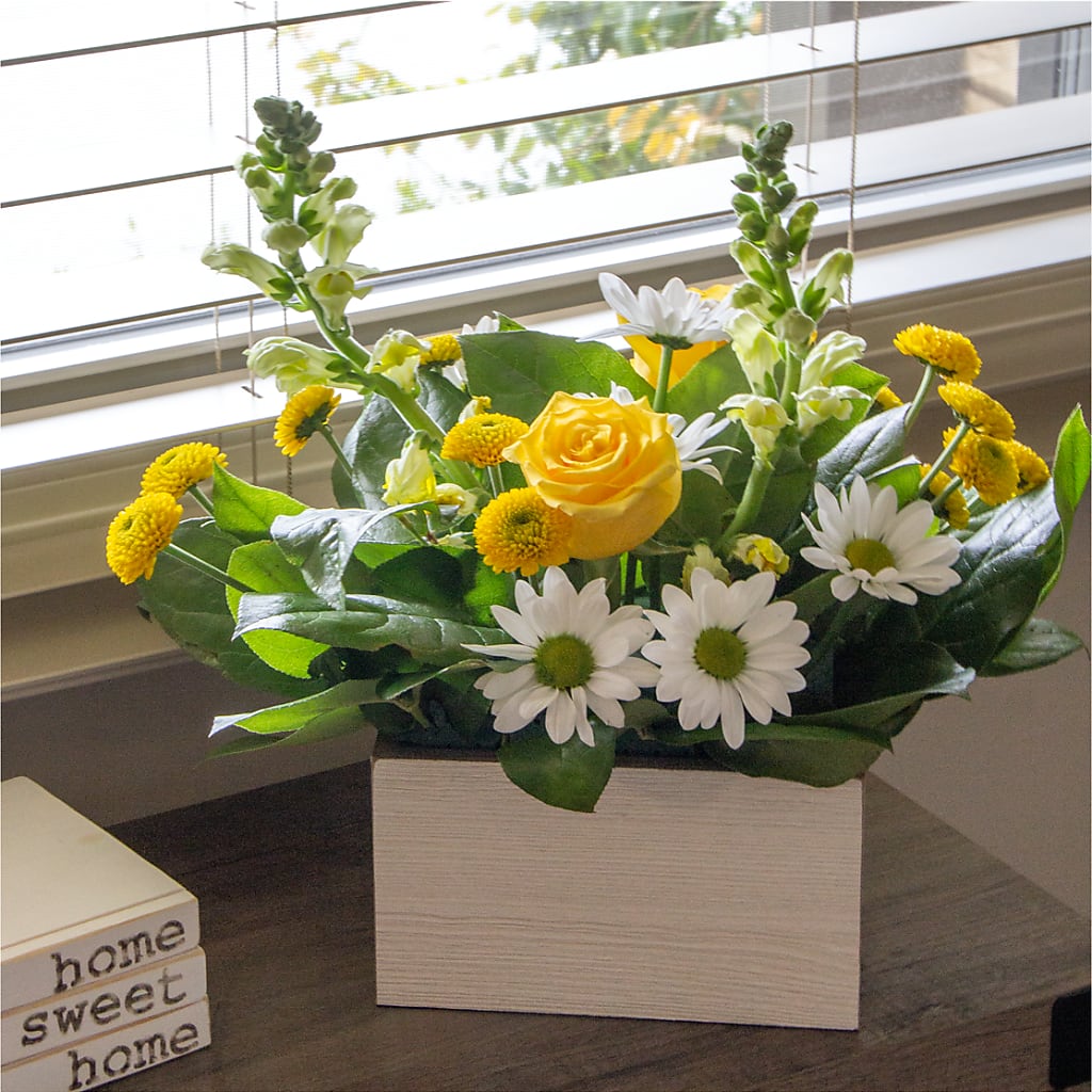 Sun Salutation Box Bouquet – MARIA'S FLORAL CREATIONS, Bethel CT