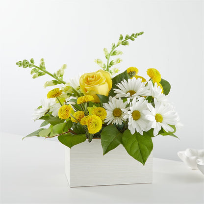 Sun Salutation Box Bouquet – MARIA'S FLORAL CREATIONS, Bethel CT