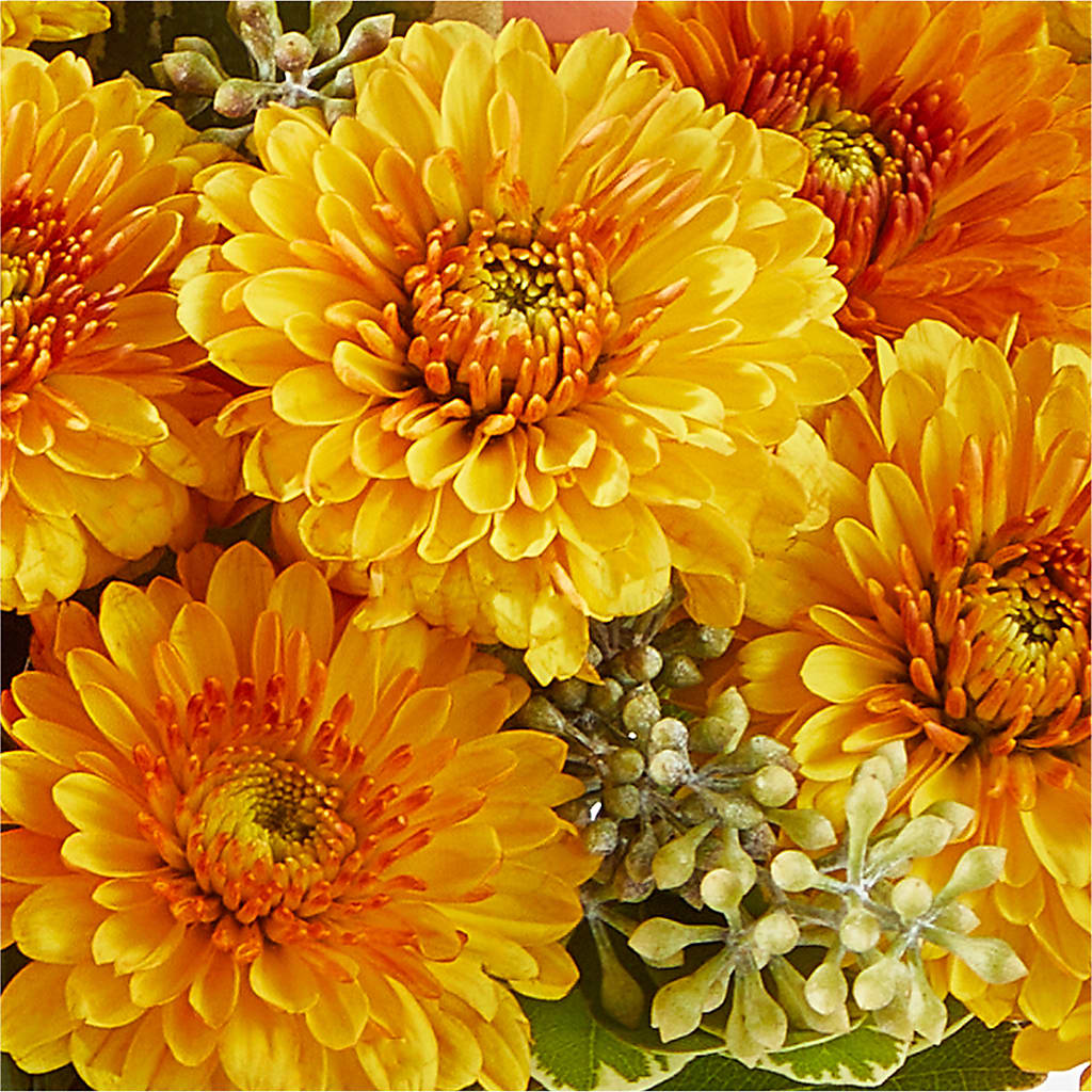 Peachy Pumpkin – MARIA'S FLORAL CREATIONS, Bethel CT