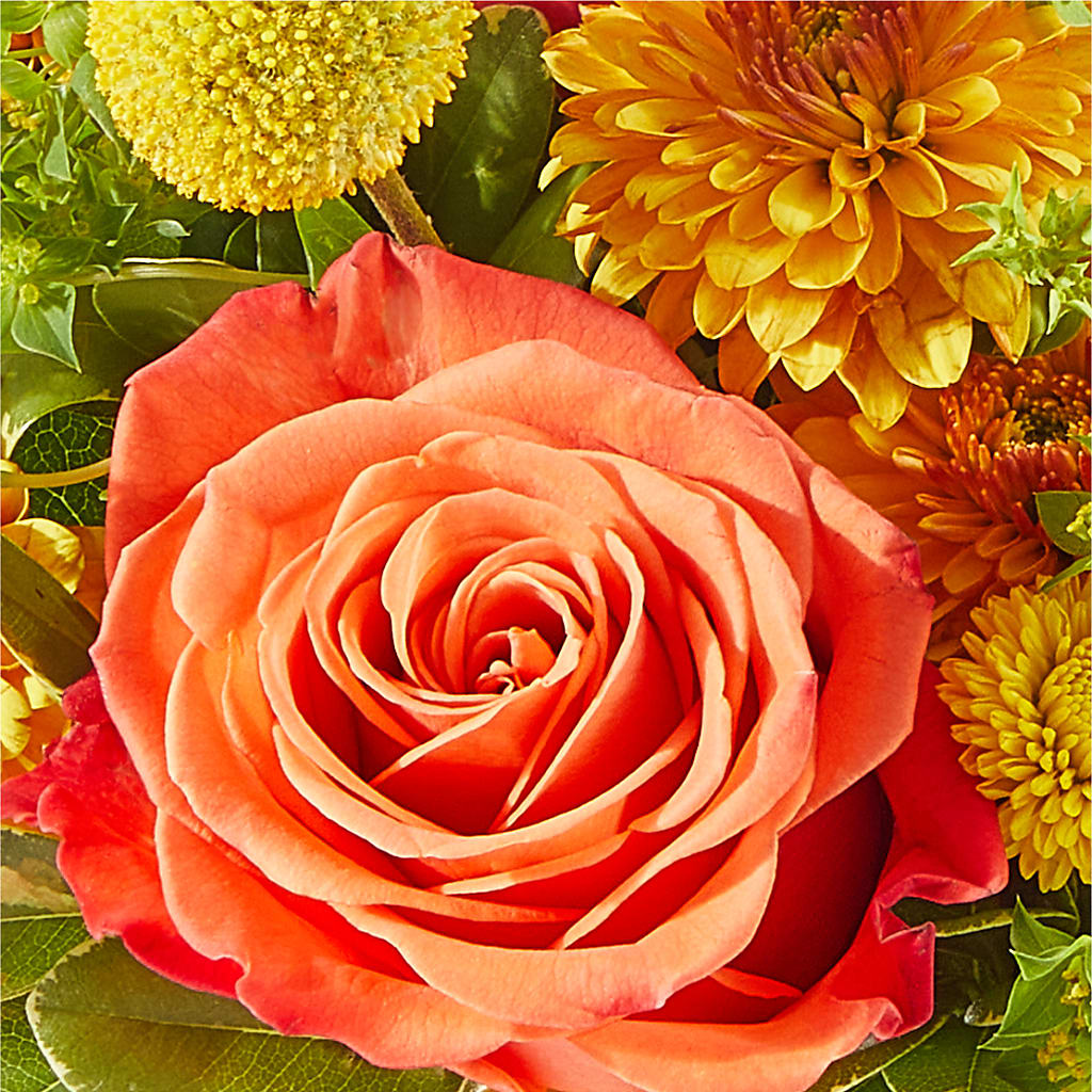 Gourdgeous Pumpkin – MARIA'S FLORAL CREATIONS, Bethel CT