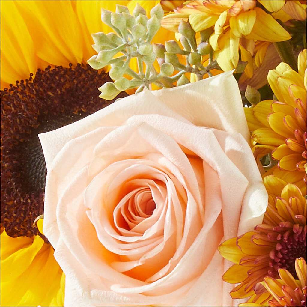 Pumpkin to Talk About Bouquet – MARIA'S FLORAL CREATIONS, Bethel CT