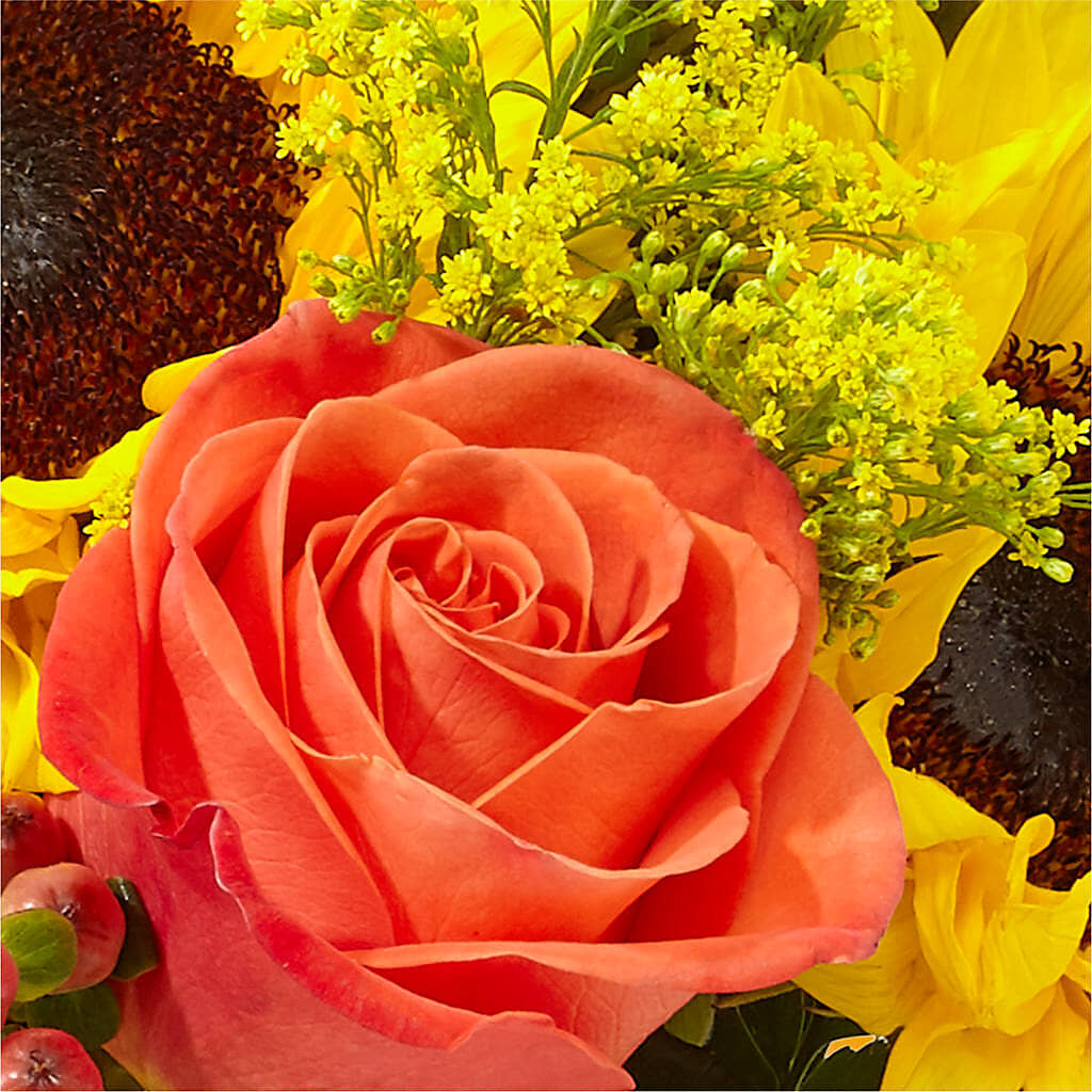 Pick of the Patch Pumpkin Bouquet – MARIA'S FLORAL CREATIONS, Bethel CT