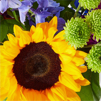 Catching Rays Bouquet – MARIA'S FLORAL CREATIONS, Bethel CT