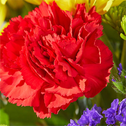 Brighter Days Bouquet – MARIA'S FLORAL CREATIONS, Bethel CT