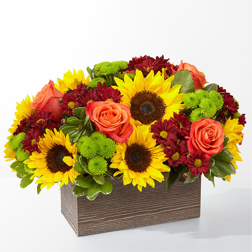 Happy Harvest Garden – MARIA'S FLORAL CREATIONS, Bethel CT
