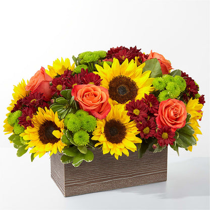 Happy Harvest Garden – MARIA'S FLORAL CREATIONS, Bethel CT