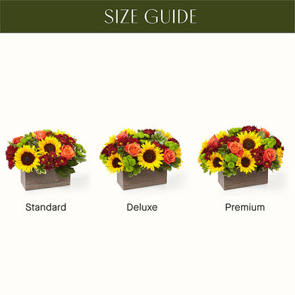 Happy Harvest Garden – MARIA'S FLORAL CREATIONS, Bethel CT