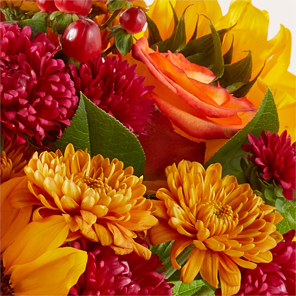Sweater Season - A Florist Original – MARIA'S FLORAL CREATIONS, Bethel CT
