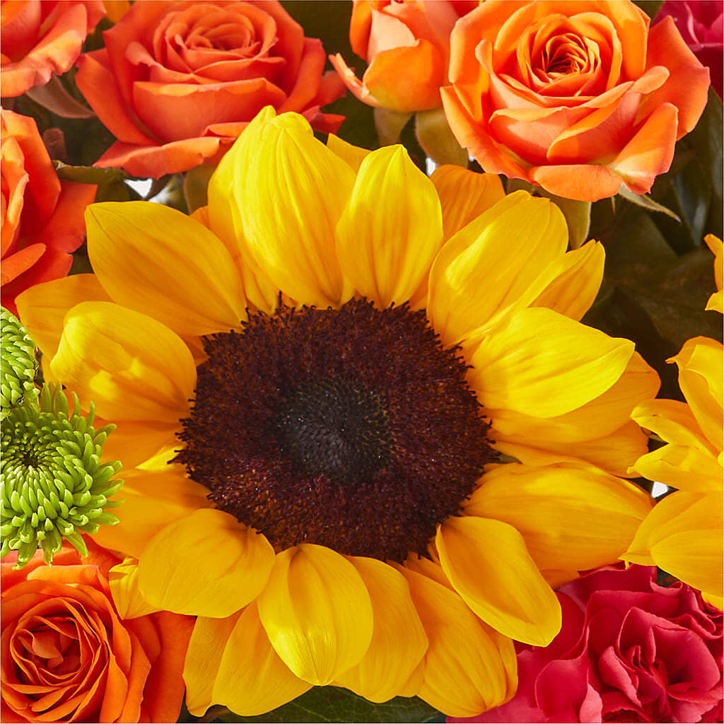 Sun-drenched Blooms Box Bouquet – MARIA'S FLORAL CREATIONS, Bethel CT