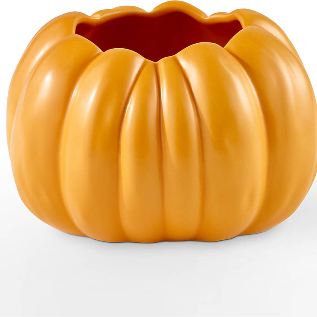 Pick of the Patch Pumpkin Bouquet – MARIA'S FLORAL CREATIONS, Bethel CT