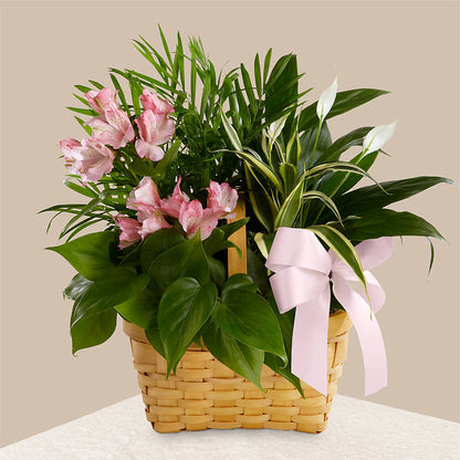 Living Spirit Dishgarden – MARIA'S FLORAL CREATIONS, Bethel CT