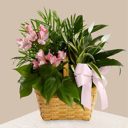 Living Spirit Dishgarden – MARIA'S FLORAL CREATIONS, Bethel CT