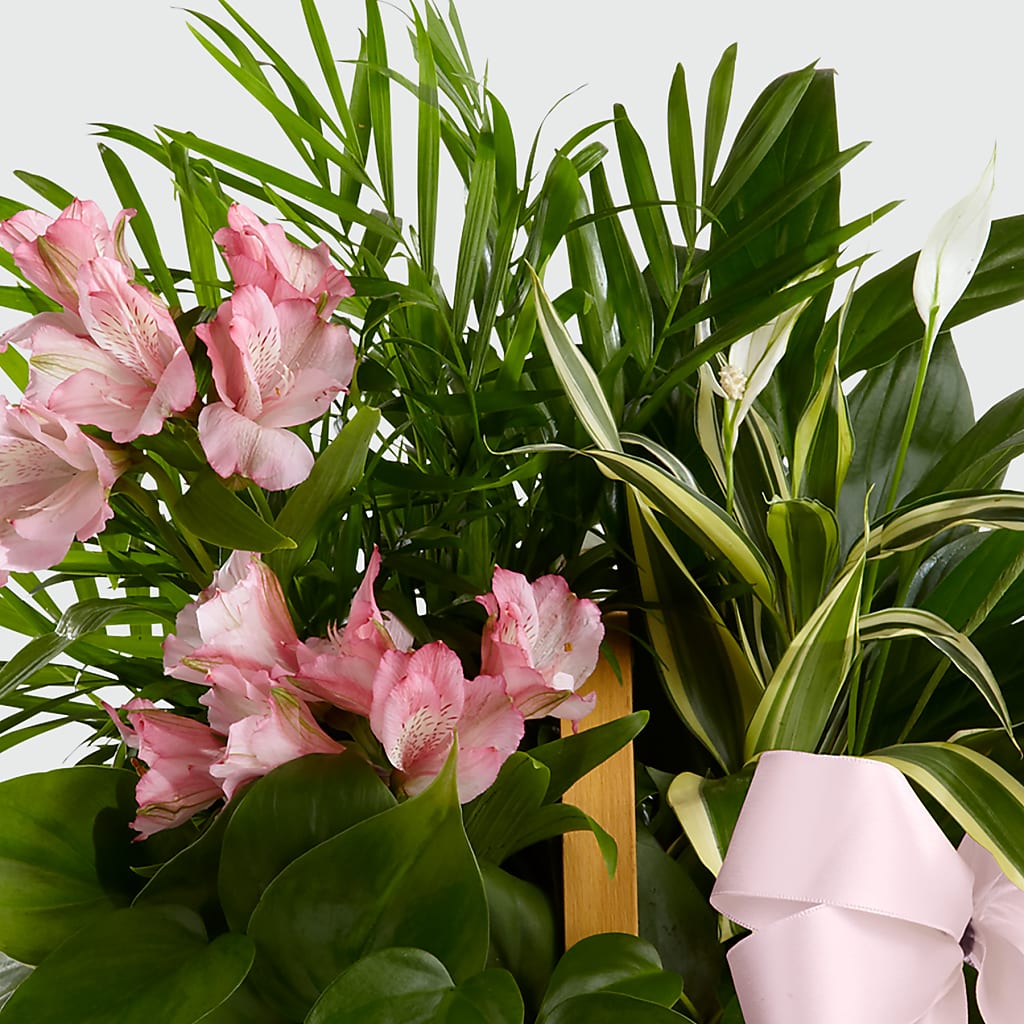 Living Spirit Dishgarden – MARIA'S FLORAL CREATIONS, Bethel CT