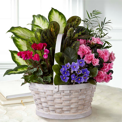 Peaceful Garden Planter – MARIA'S FLORAL CREATIONS, Bethel CT