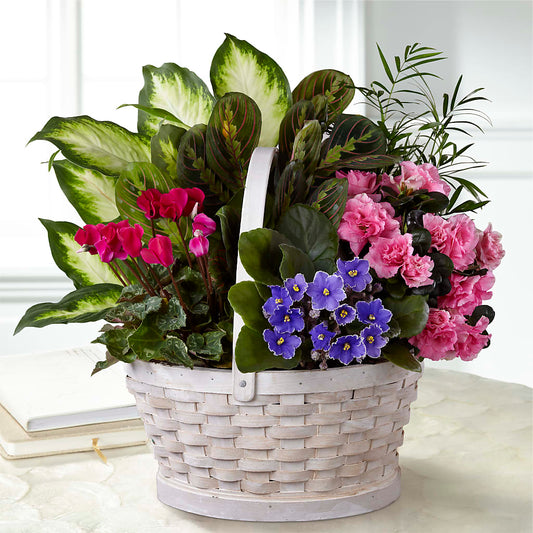 Peaceful Garden Planter – MARIA'S FLORAL CREATIONS, Bethel CT