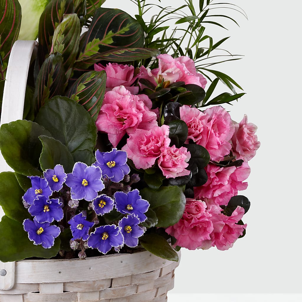 Peaceful Garden Planter – MARIA'S FLORAL CREATIONS, Bethel CT