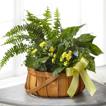 Always Dear Dishgarden – MARIA'S FLORAL CREATIONS, Bethel CT