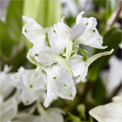 Classic Ivory – A Florist Original – MARIA'S FLORAL CREATIONS, Bethel CT