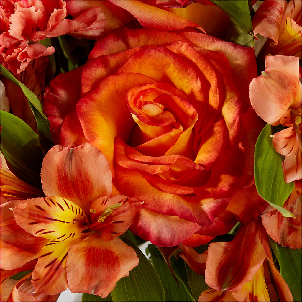Apricot Glow Bouquet – MARIA'S FLORAL CREATIONS, Bethel CT
