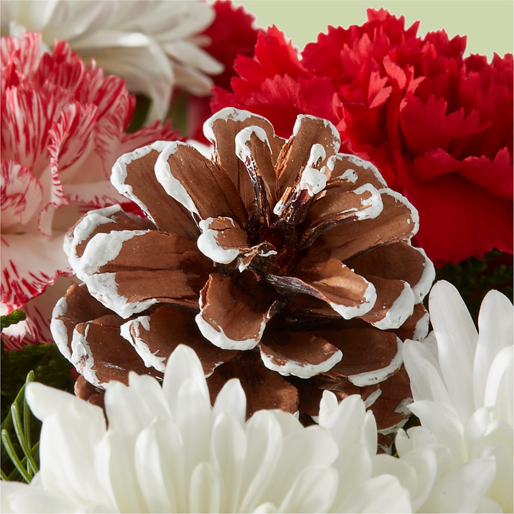 Candy Cane Lane Bouquet – MARIA'S FLORAL CREATIONS, Bethel CT