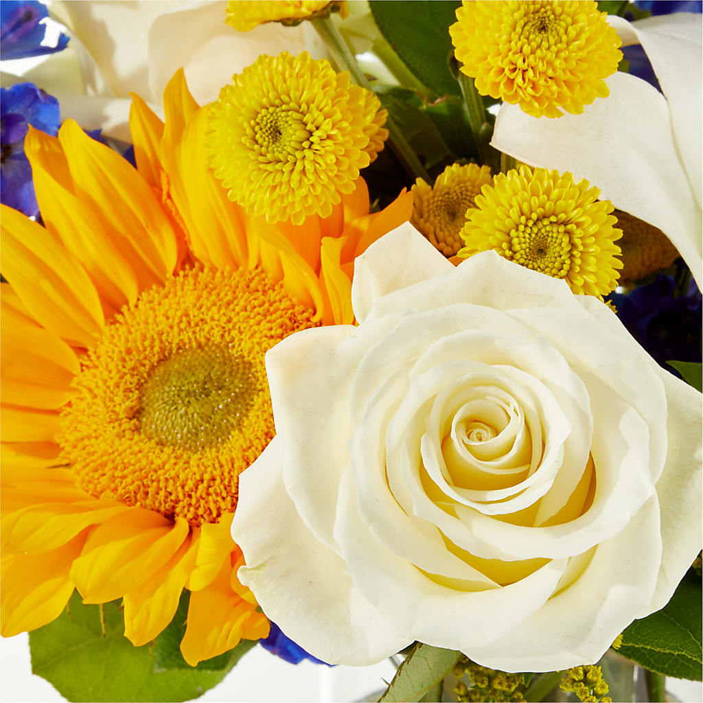 Stargazing Bouquet – MARIA'S FLORAL CREATIONS, Bethel CT