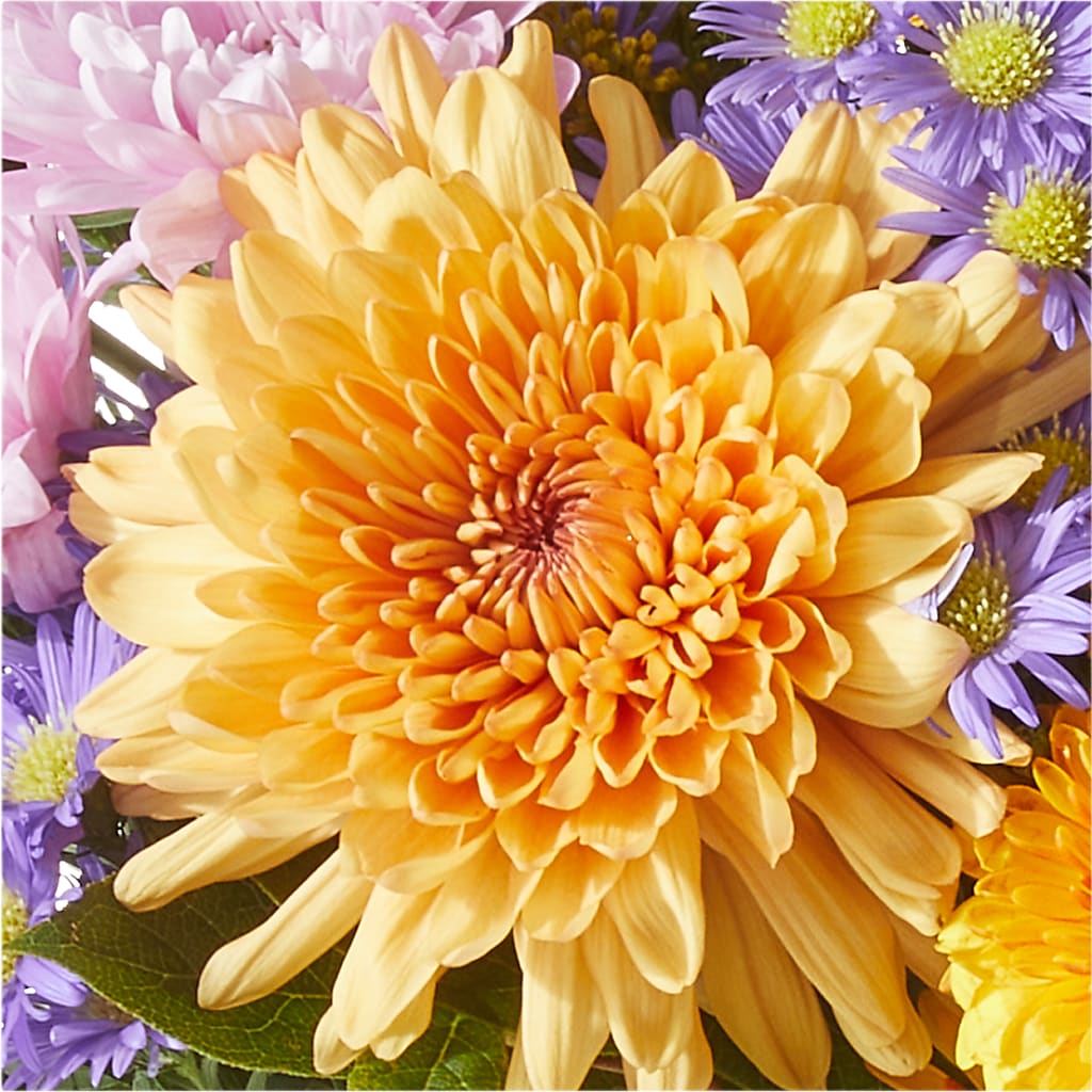 Countryside Bouquet – MARIA'S FLORAL CREATIONS, Bethel CT