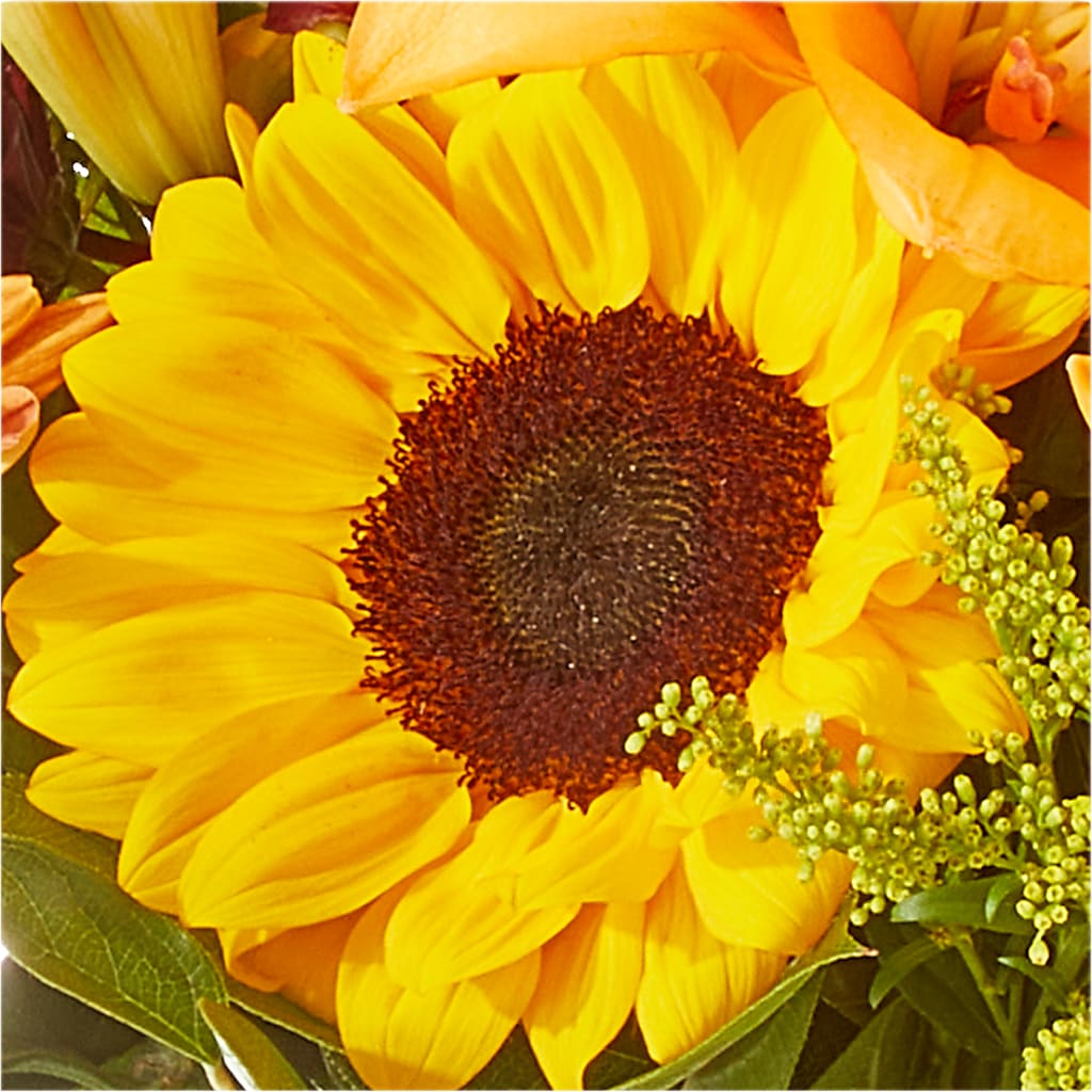 Seasons Change Bouquet – MARIA'S FLORAL CREATIONS, Bethel CT