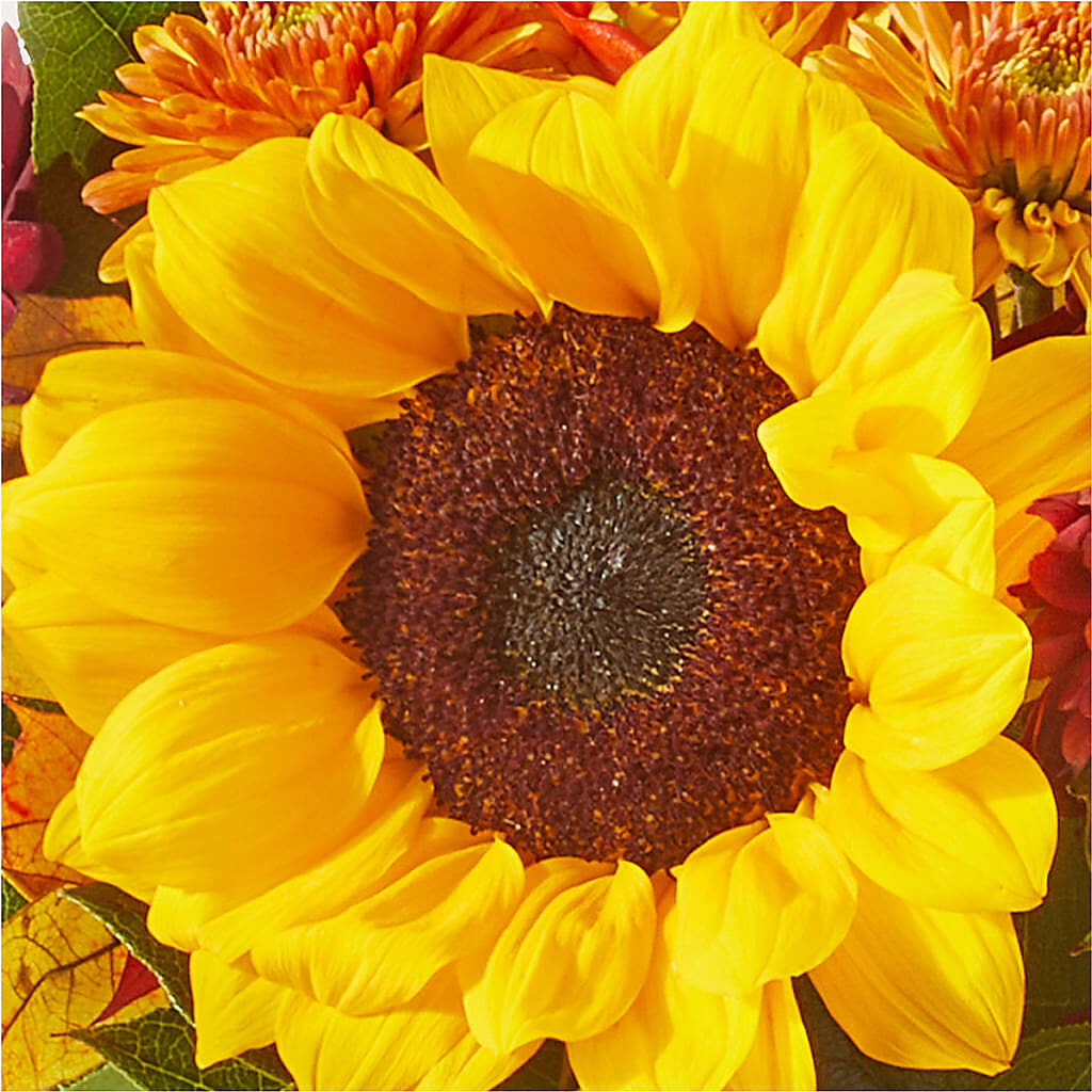 Sunny Side Bouquet – MARIA'S FLORAL CREATIONS, Bethel CT