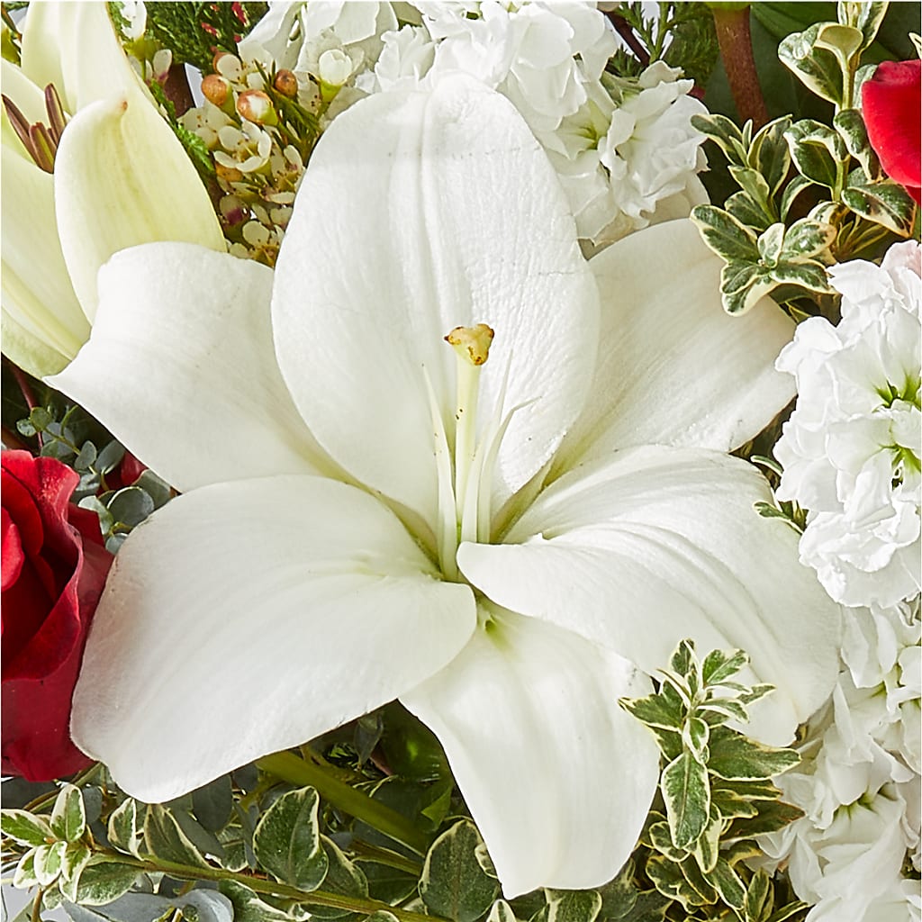 Twinkle Lights Bouquet – MARIA'S FLORAL CREATIONS, Bethel CT