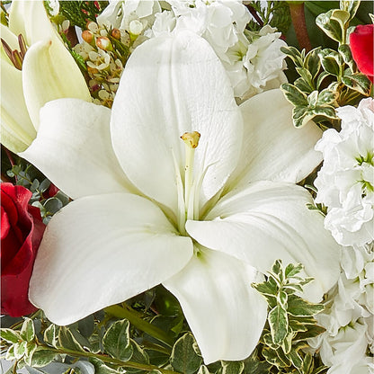 Twinkle Lights Bouquet – MARIA'S FLORAL CREATIONS, Bethel CT