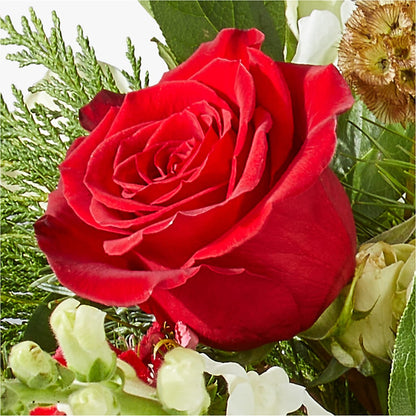 Deck the Halls Bouquet – MARIA'S FLORAL CREATIONS, Bethel CT