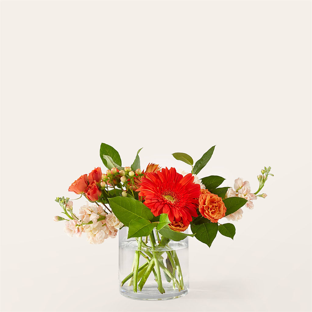 Paloma Please Bouquet – MARIA'S FLORAL CREATIONS, Bethel CT