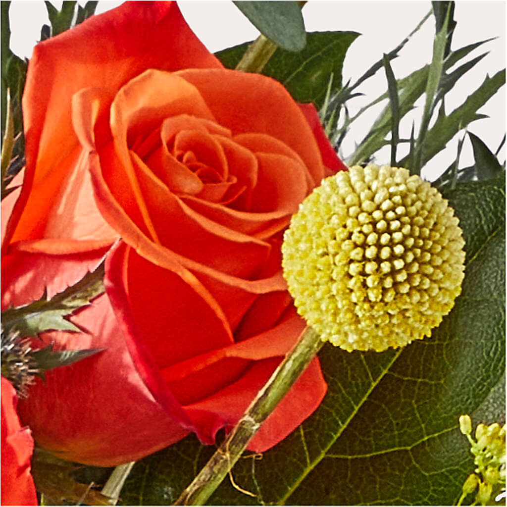 Disco Bouquet – MARIA'S FLORAL CREATIONS, Bethel CT