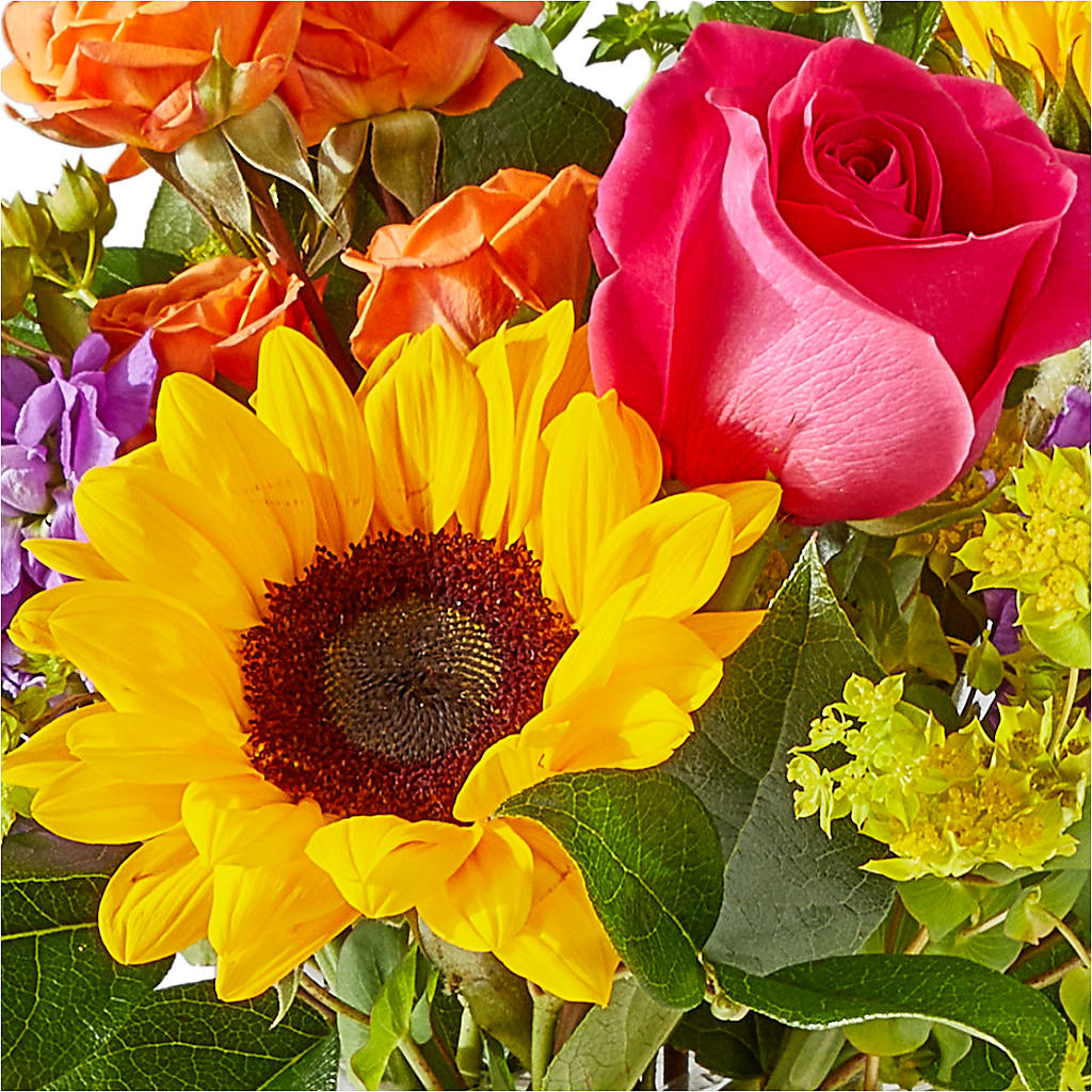 Vibrant Greetings Bouquet – MARIA'S FLORAL CREATIONS, Bethel CT